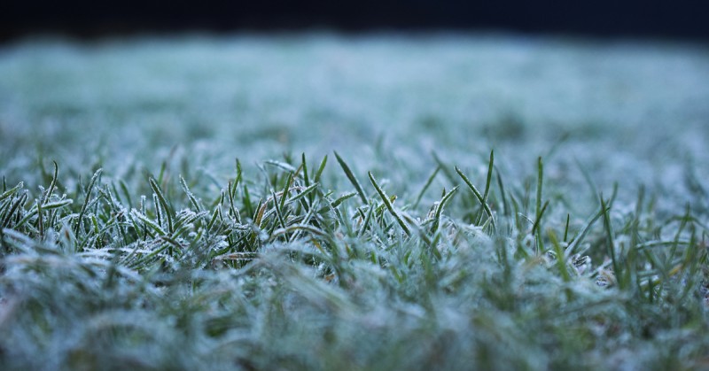 Benefits_of_Laying_Sod_During_Winter_in_the_Desert