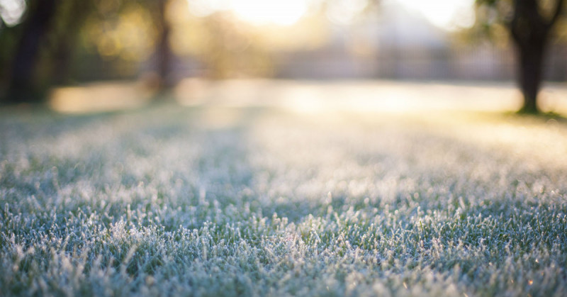 Can_I_Lay_Sod_in_the_Winter_in_St._George___