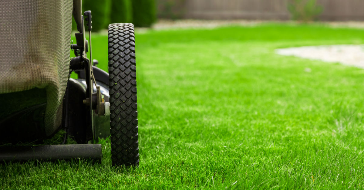 Lawn Care Services in Southern Utah
