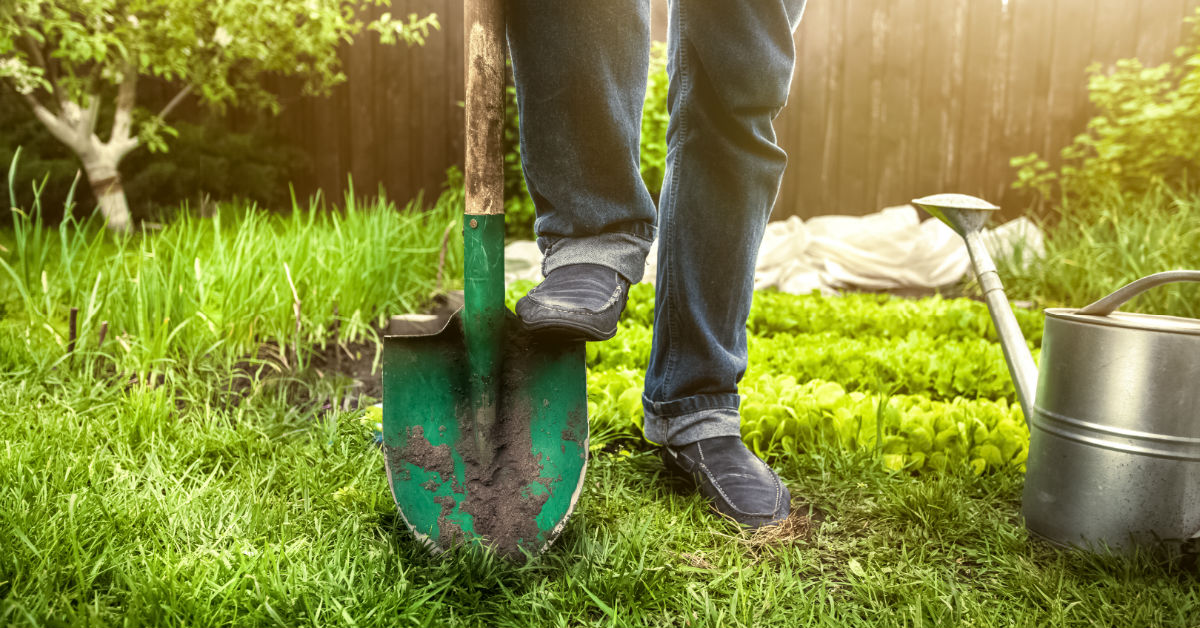 Avoiding Back Breaking Excavation Projects With Our Team At Stonetree