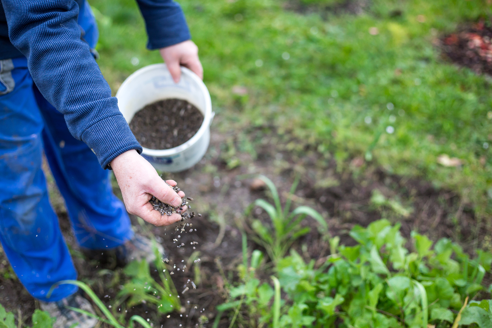 Spring Cleanup Checklist