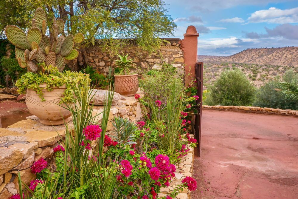 Dry Stone Wall and Colorful Garden